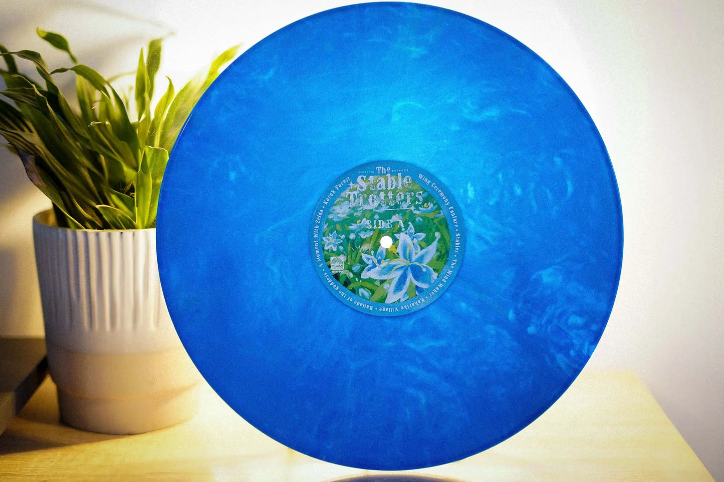 The Stable Trotters - LP Human Sweat Records