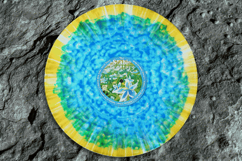 HSR-001 The Stable Trotters - The Stable Trotters – Zelda-Inspired Vinyl (Breath of the Wild & Tears of the Kingdom Arrangements) Human Sweat Records